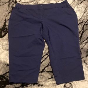 Womens plus Apt 9 dress capris size 24